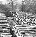 souvenirs en noir et blanc (643)